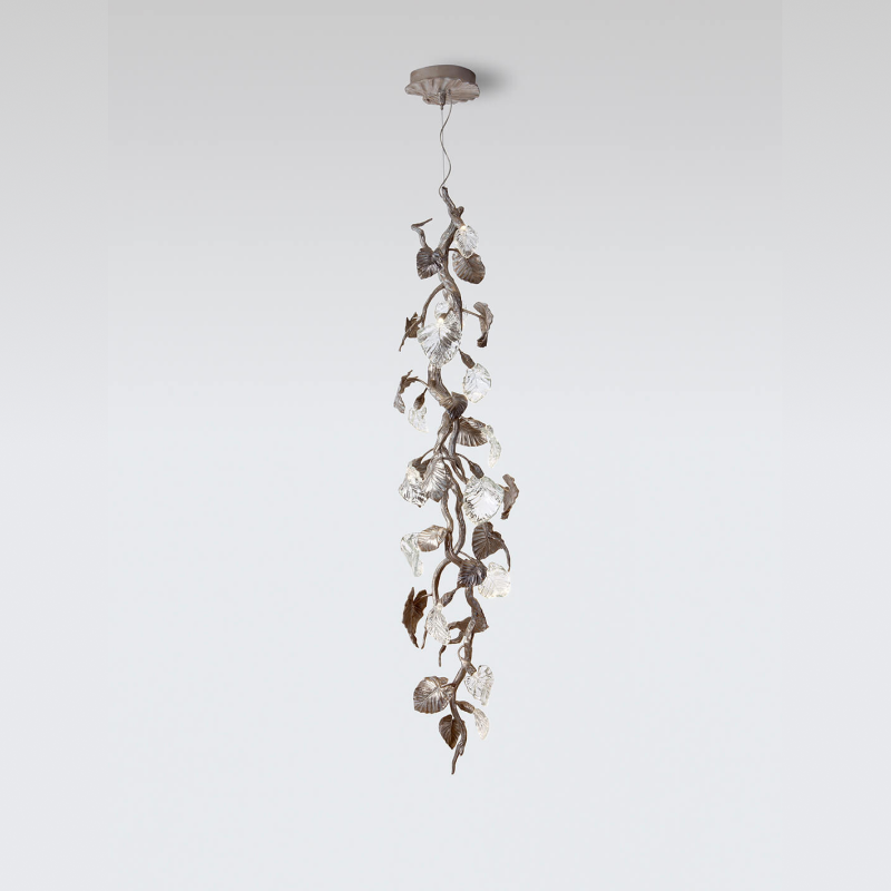 Suspension Calathea Ornata Medium