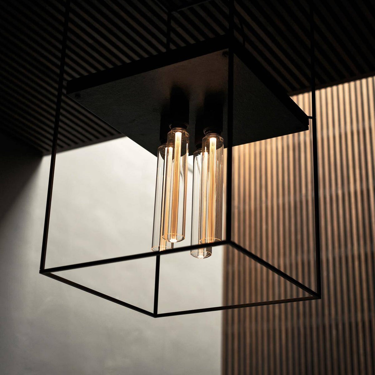 Caged Ceiling / 4.0