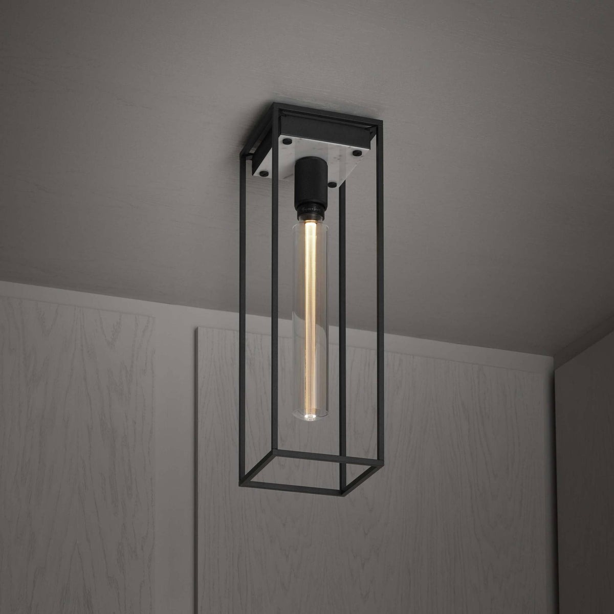 Caged Ceiling / Large