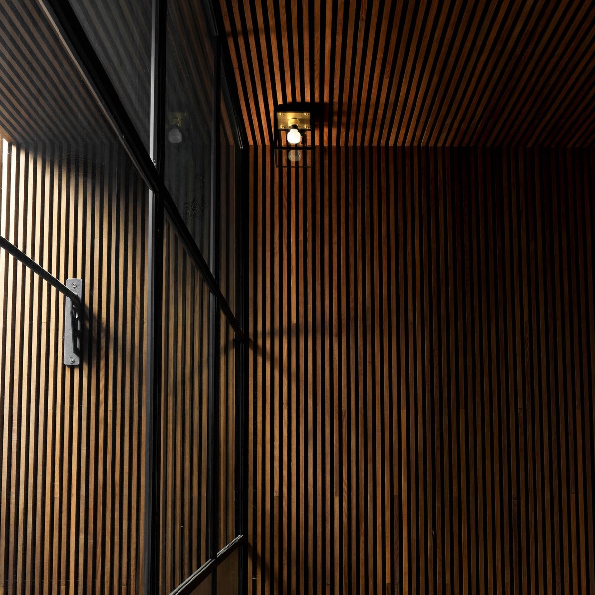 Caged Wet / Ceiling / Small