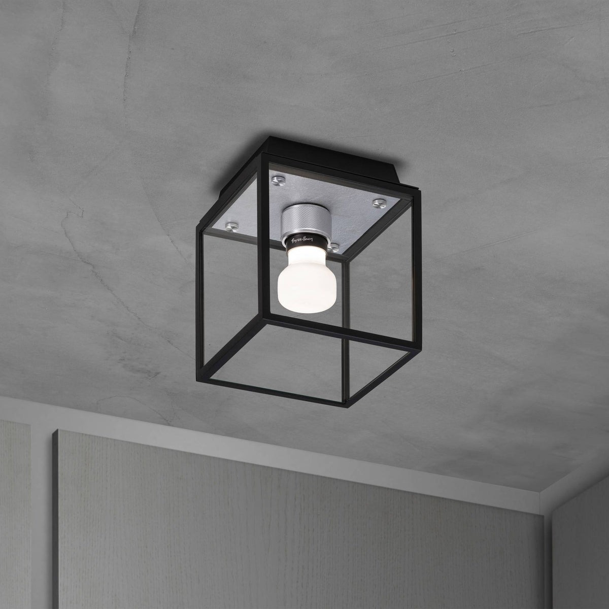 Caged Wet / Ceiling / Small