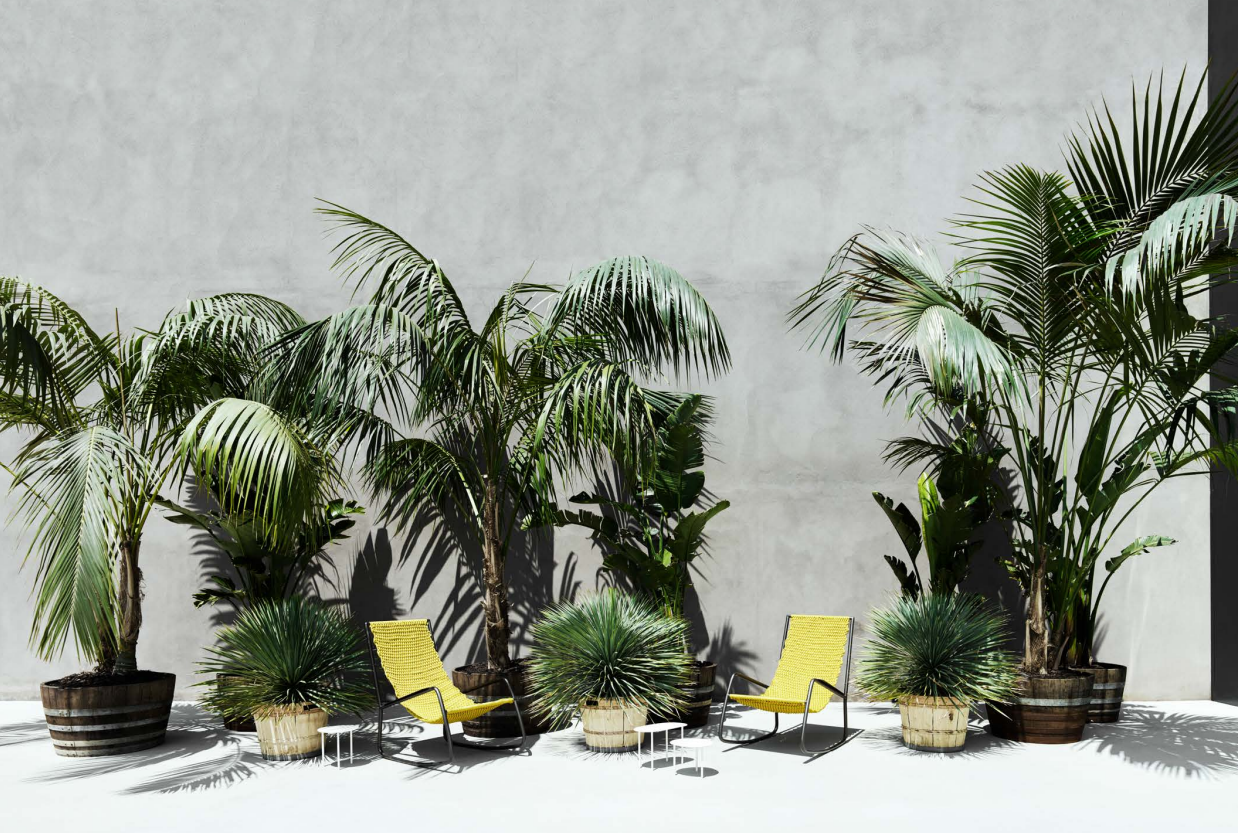 Flow Armchair
