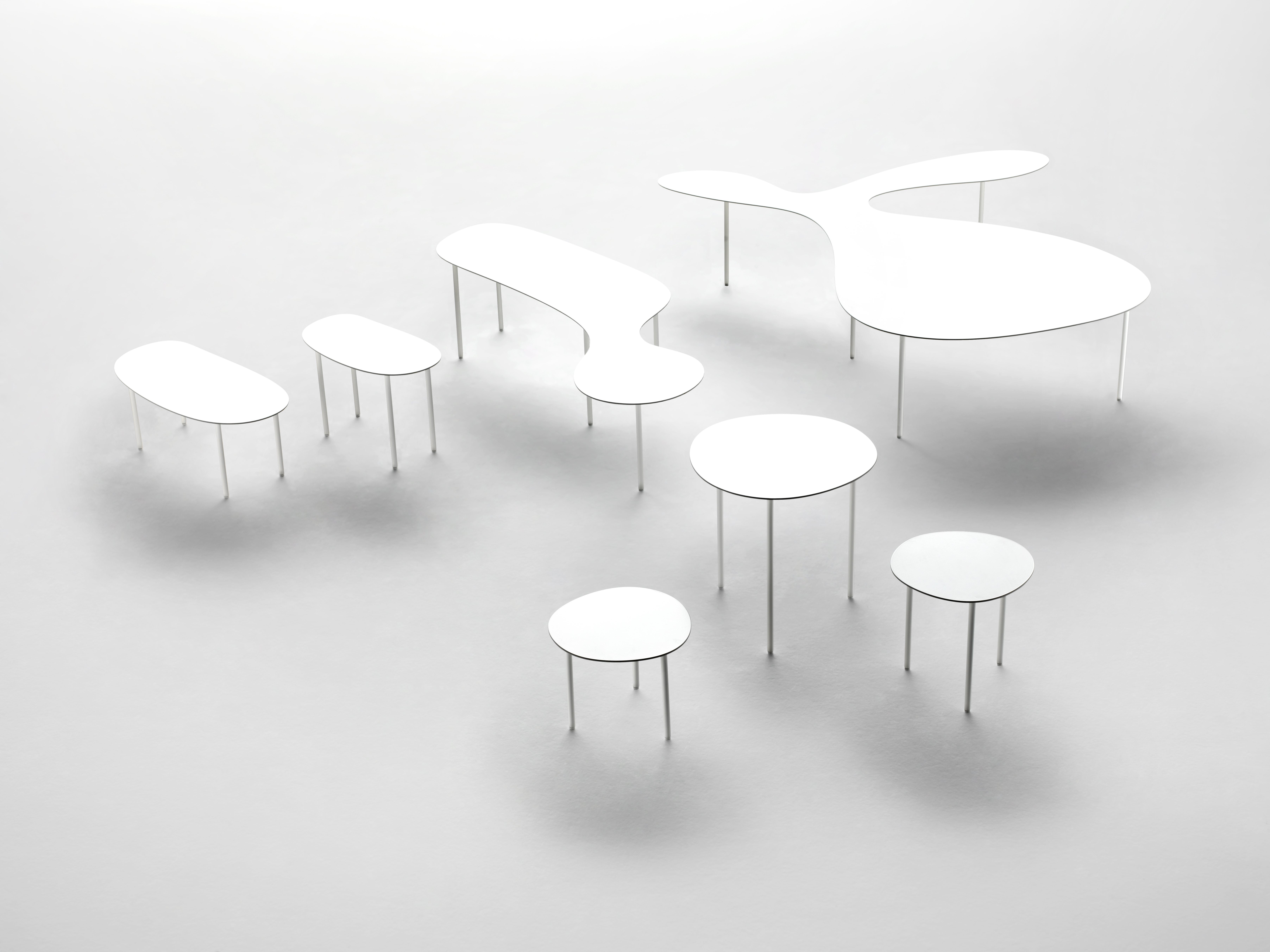 Rabbit & the Tortoise Collection of Low Table
