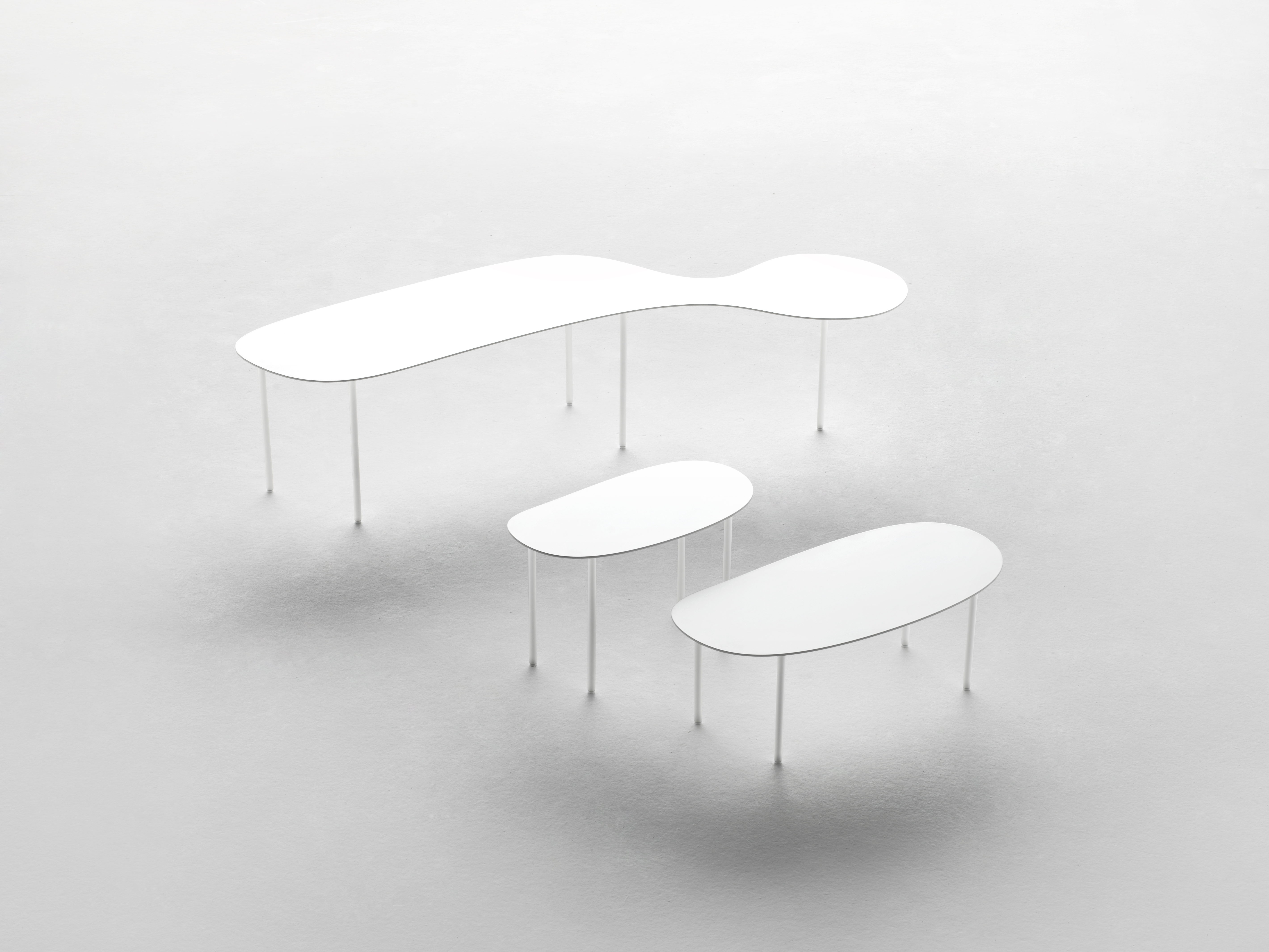 Rabbit & the Tortoise Collection of Low Table