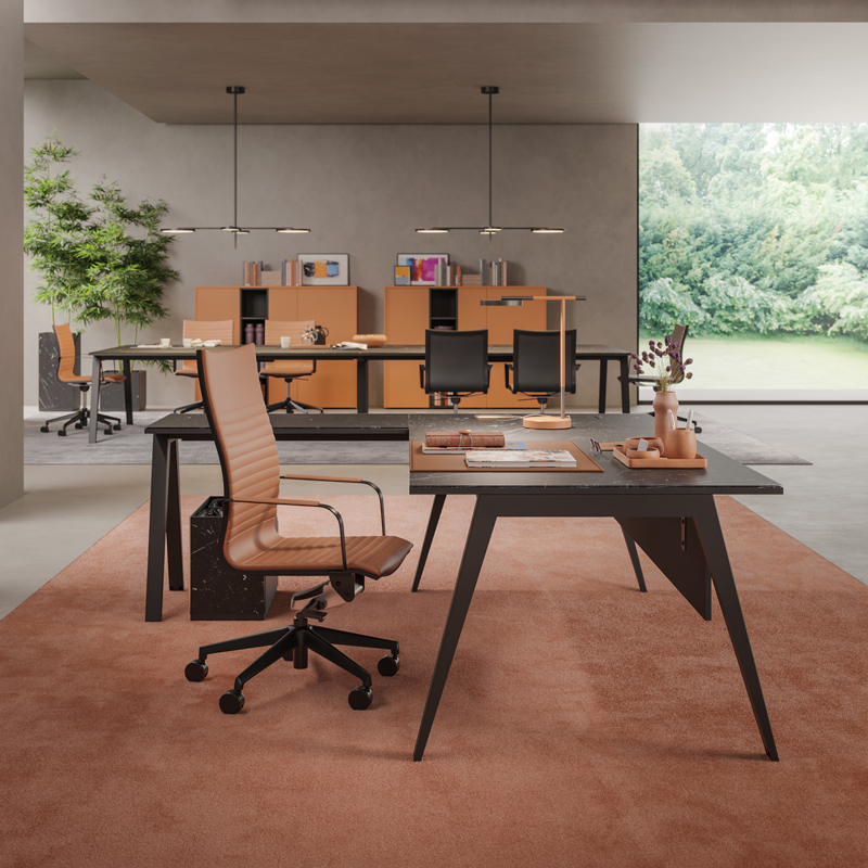 DODICI Manager Desk