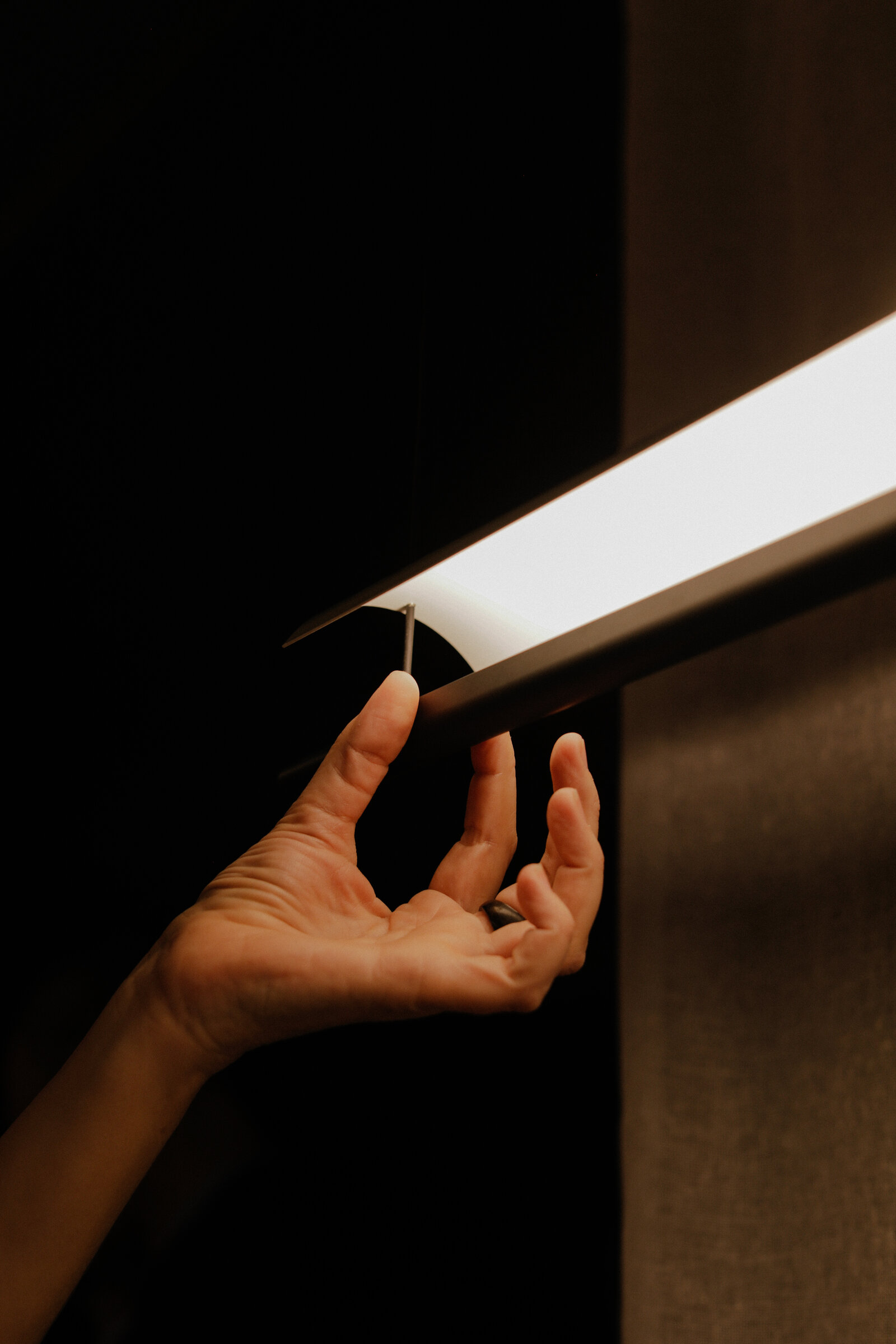 Lámina 165 Pendant Lamps