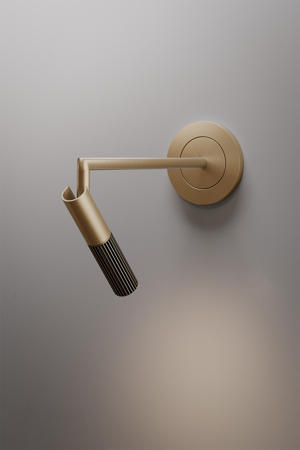 Beak Picture Lamp