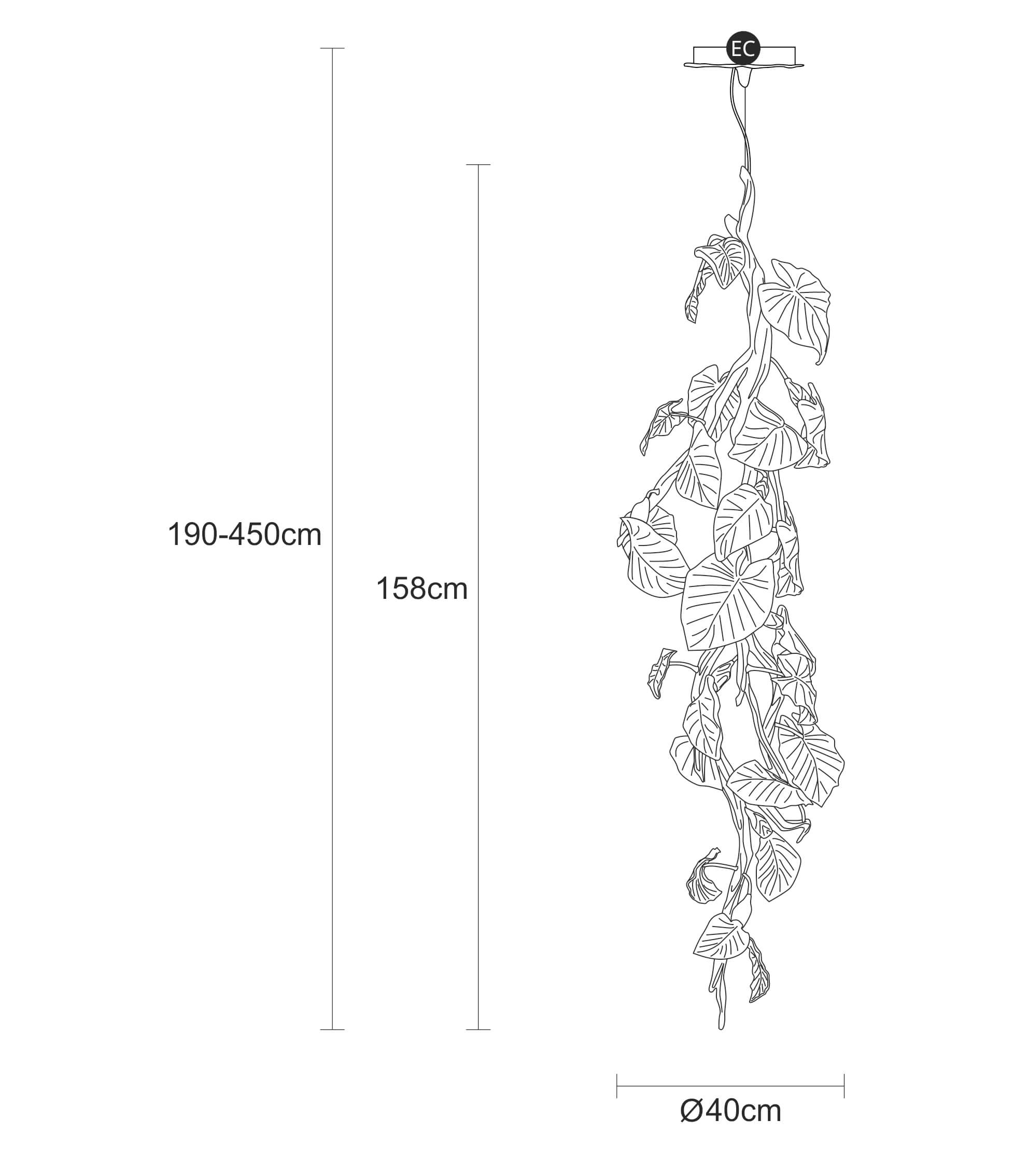 Suspension Calathea Ornata Small