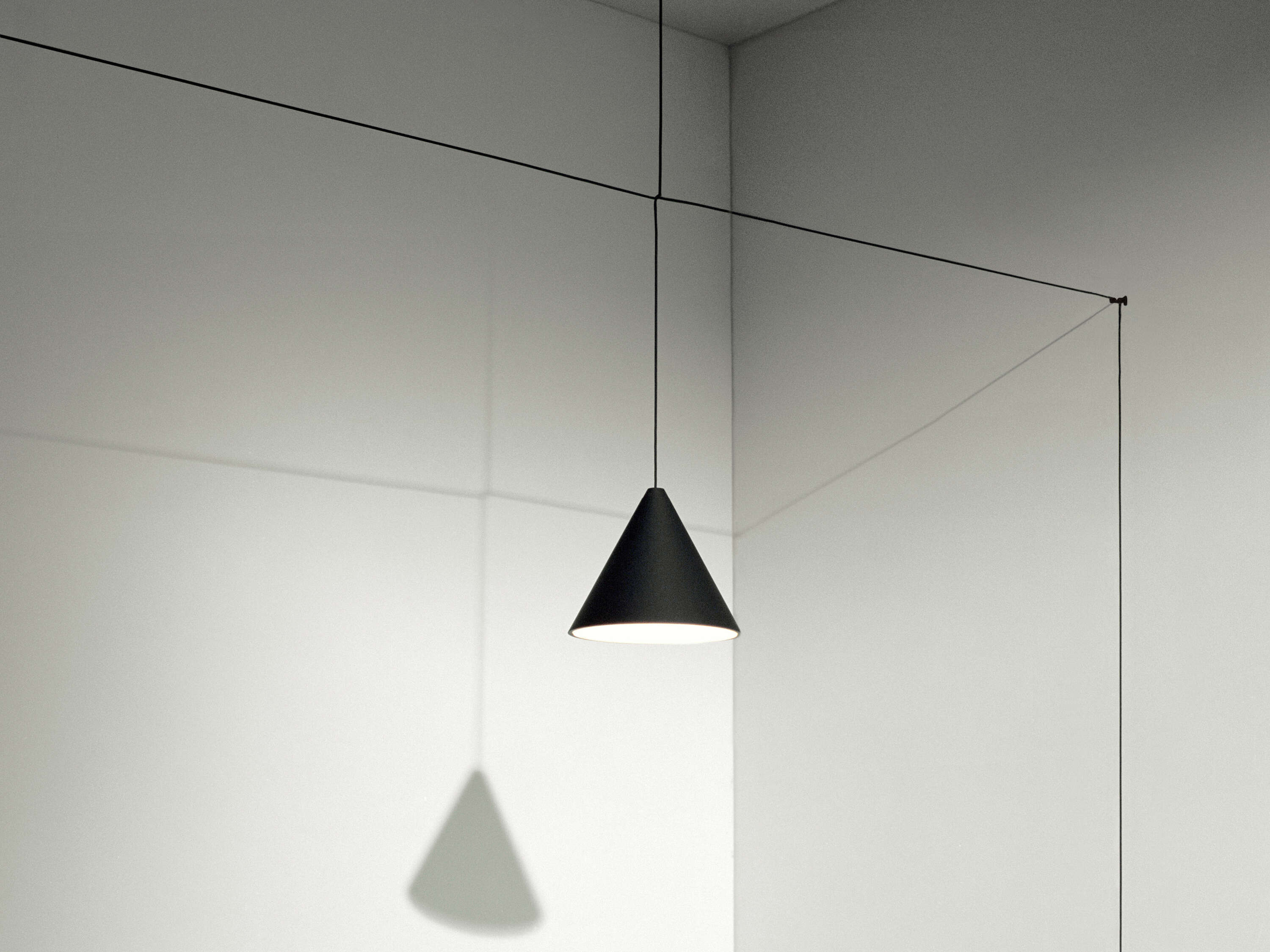Suspension String Light Cone