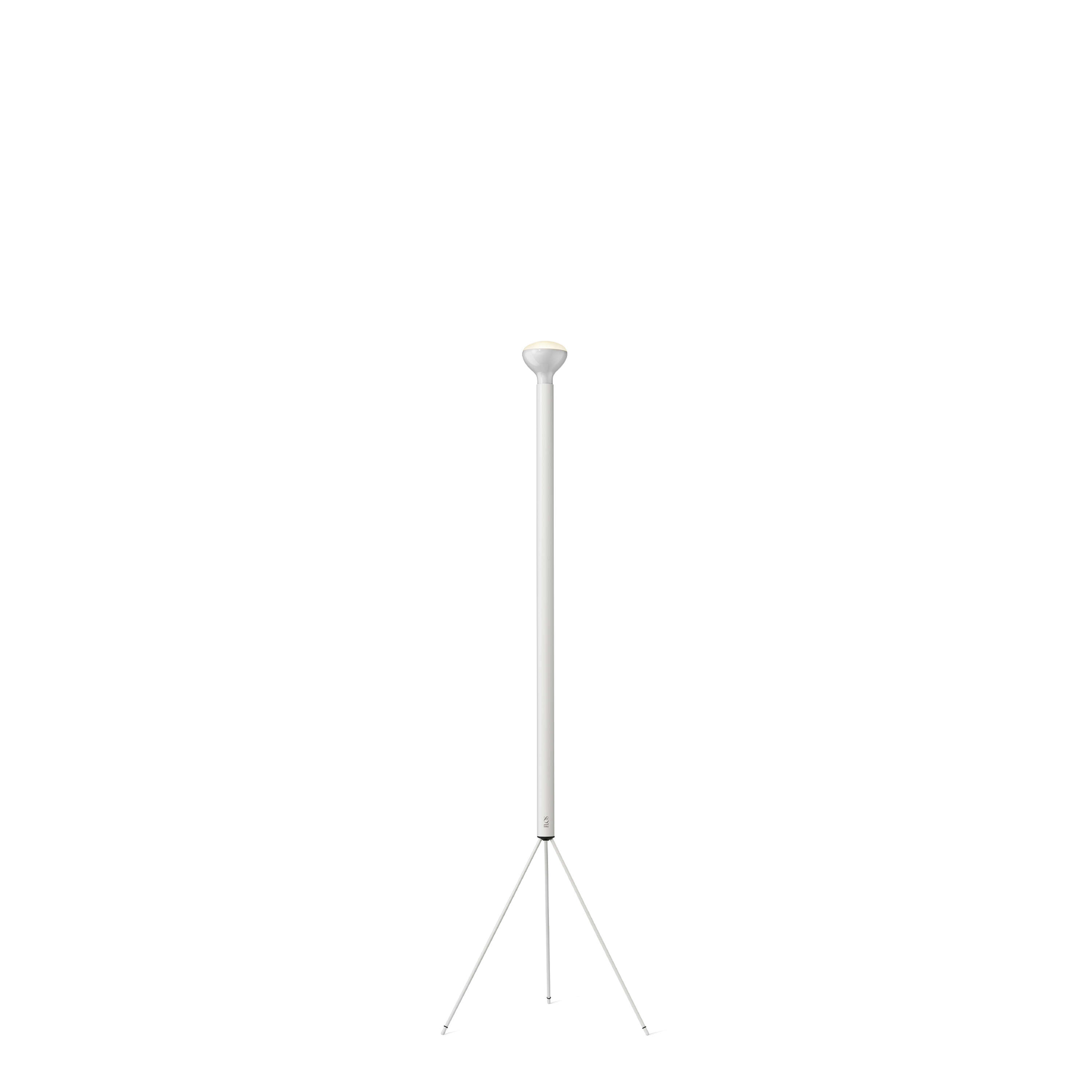 Floor lamp Luminator