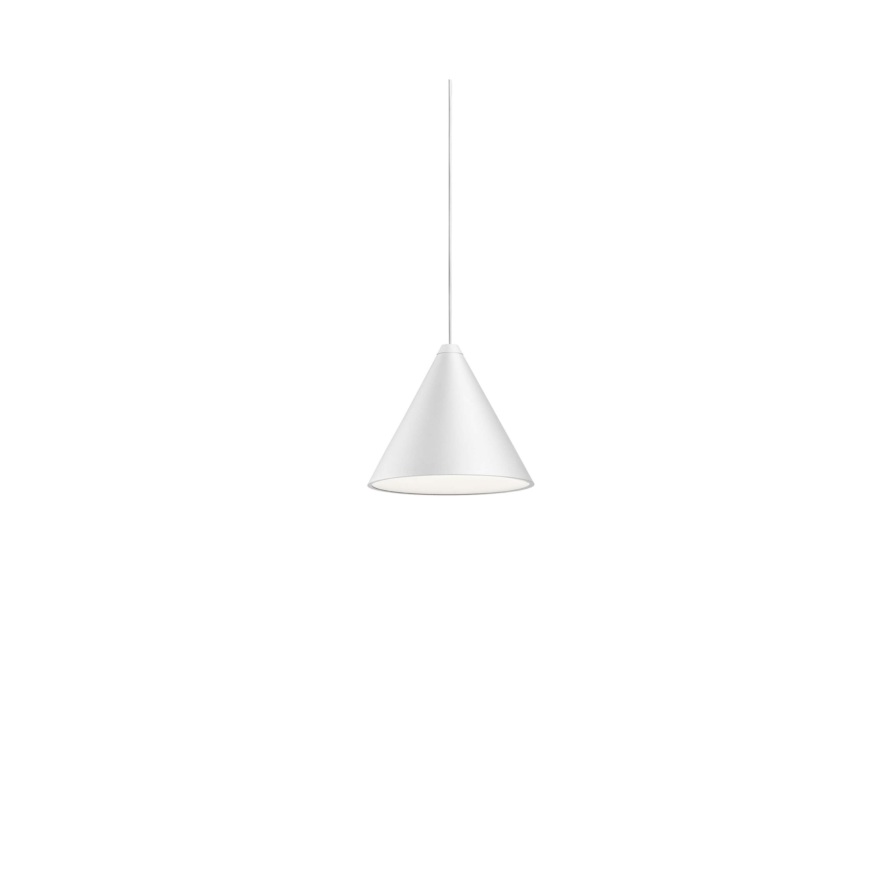 Suspension String Light Cone