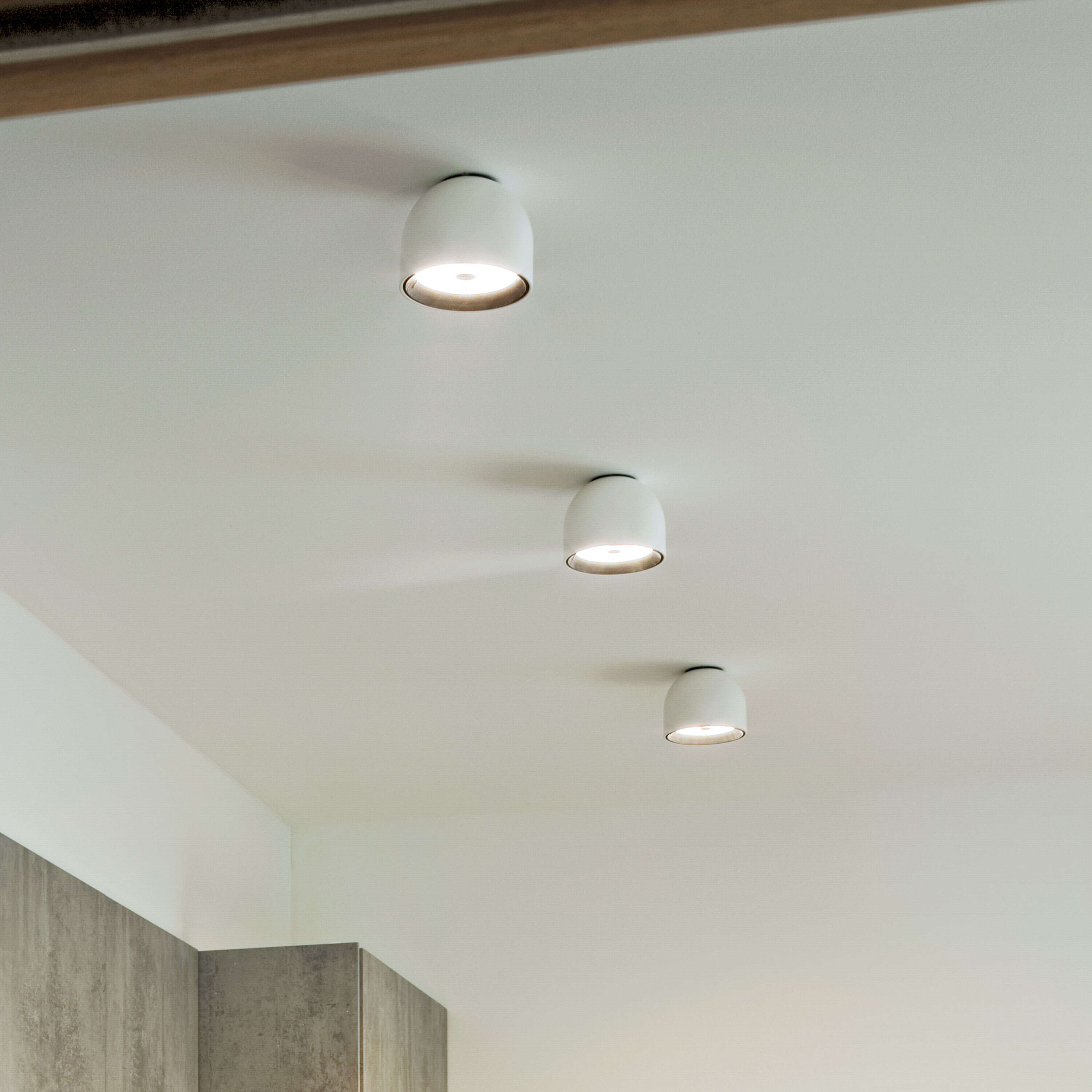 Sconce Wan Ceiling/Wall