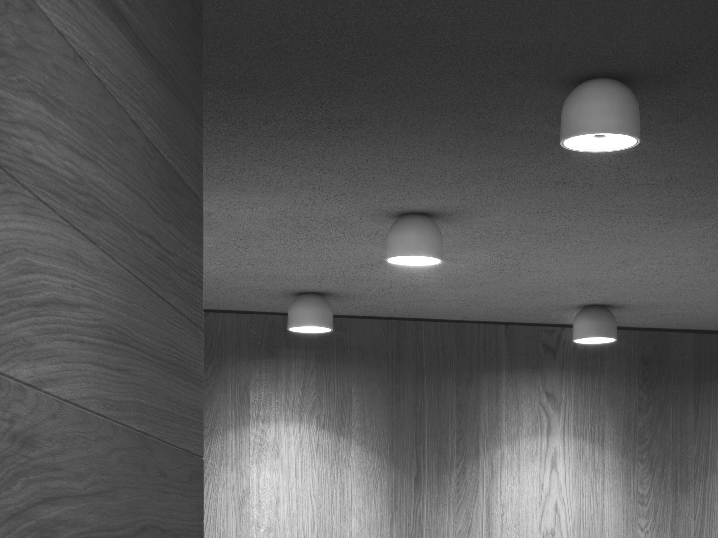 Sconce Wan Ceiling/Wall